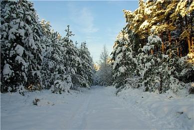 《沙丘：觉醒》Steam平台预购已开启